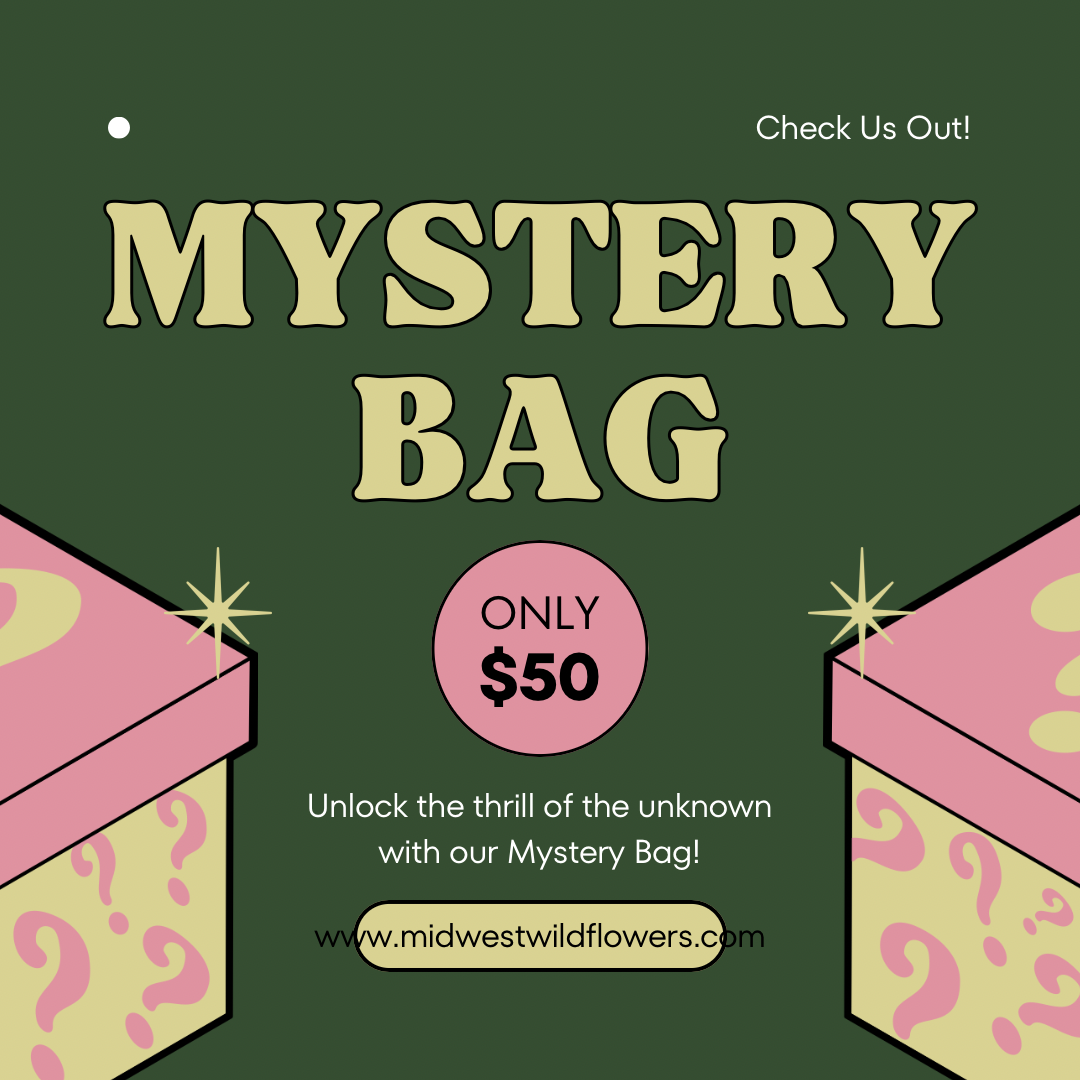 Mystery Bag