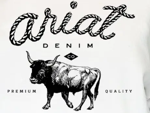 Ariat tee