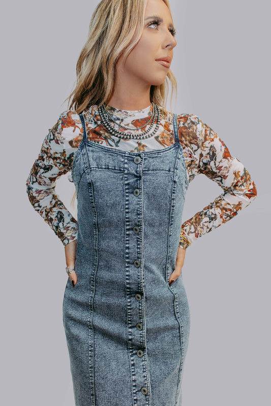 Denim Button Down Dress: