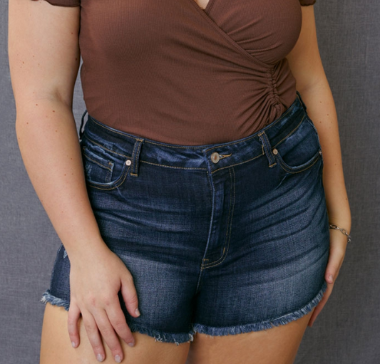 PLUS HIGH RISE SHORTS-KC7323D-P