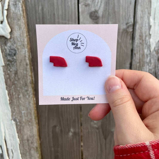 ShopMegAnn - Clay Nebraska Earrings